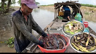 Móc Lịch Sông Trên Ghe Vô Bầy Và Bữa Cơm Dân Dã Đậm Đà Quê Hương |T396
