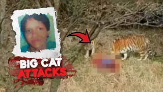 The Deadliest Attacks By Big Cats in 2023!