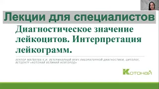 Диагностическое значение лейкоцитов.  Интерпретация лейкограмм