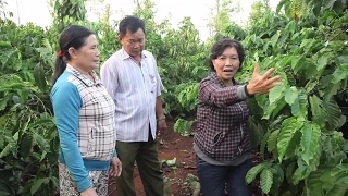 Vietnam: Sustainable Farming for Higher Productivity and a Better Environment