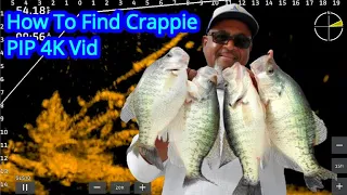 The Crappie Fishing Spawn is Near | Where I Find Crappie Getting Ready to Spawn | Garmin Livescope