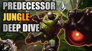 HOW TO JUNGLE! - Predecessor Deep dive - In depth Jungle guide "Pathing updated see description"