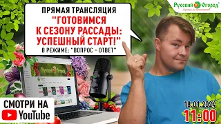 Готовимся к сезону рассады: успешный старт!