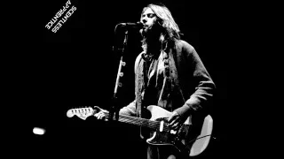 Nirvana - Scentless Apprentice & Heart-Shaped Box (Live 1994 FM Stereo)