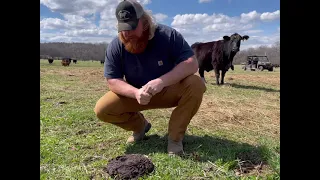 What Cow Pies Can Tell You About The Health Of Your Herd