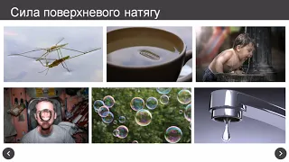 Поверхневий натяг рідини. Змочування. Капілярні явища