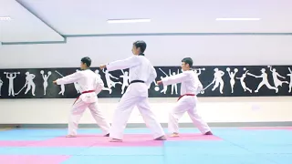 Tutorial Poomasae Basic 1 || Taekwondo Indonesia Universitas Brawijaya