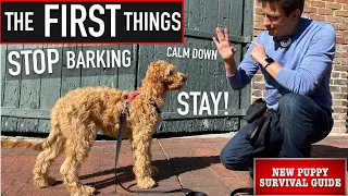 NEW PUPPY SURVIVAL GUIDE: How to Train ANY Dog to STOP Barking, Calm Down & Stay! (EP: 7)