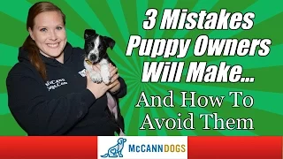 New Puppy Owners NEED To Know This