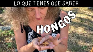 Emprendimiento familiar de HONGOS para la SALUD. Qué son los ADAPTÓGENOS? Mundo Fungi #traslasierra