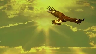 LEO ROJAS  -  El Condor Pasa - Matsuri