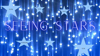 WWN PRESENTS SEEING STARS