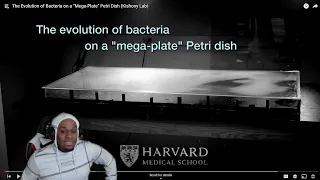 ReignReacts - The Evolution of Bacteria on a MEGA-PLATE Petri Dish