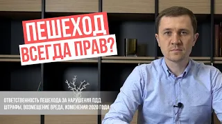 Ответственность пешеходов за нарушение правил дорожного движения / відповідальність пішоходів ПДД