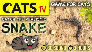 CAT GAMES 😻 Realistic SNAKE 🐍 [CATS TV] Entertainment For Cats