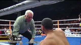 David Lemieux vs Elvin Ayala HD