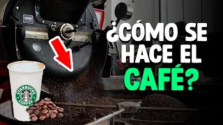 Cómo Se Hace El CAFÉ? (Proceso En Fábrica)