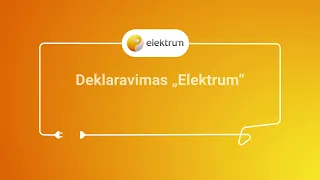 Elektros skaitiklių deklaravimas