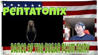 Pentatonix - Dance of the Sugar Plum Fairy (Official Video) - REACTIONS - 2 min Masterpiece lol