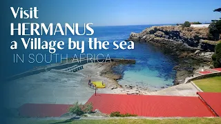 Welcome to Hermanus, a village by the sea in South Africa
