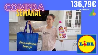 COMPRA SEMANAL 🍏 LIDL- CON PRECIOS Y RECOMENDACIONES // FAMILIABOMBONASO