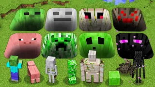 Minecraft ENDERMAN ZOMBIE CREEPER SLIME GOLEM PIG SECRET TUNNELS monster school my craft Animation