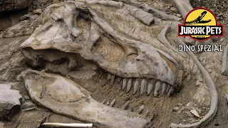 Die Dinosaurier Mumie - Geheimnisvoller Saurierfund Borealopelta | Dokumentation