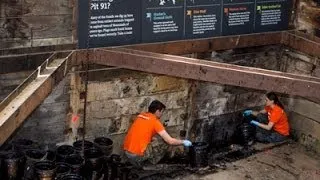 Scientists Resume Digging at Calif. Tar Pits