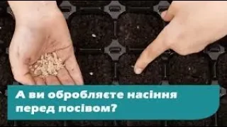 Протруювання насіння – рішення для відповідальних городників