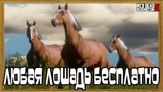 Любая Лошадь Бесплатно в Red Dead Redemption 2