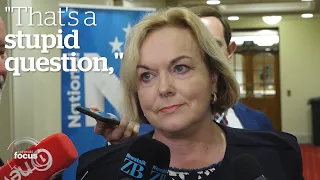 Judith Collins: My eyebrows will tell you when I'm joking | nzherald.co.nz