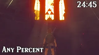 BotW Any% 24:45.667 [Former WR]