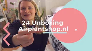 A TILLANDSIA  UNBOXING 🌿| Airplantshop.nl📦