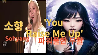 감동이 전해지는 소향 Sohyang - "You Raise Me Up" open live (lyrics)