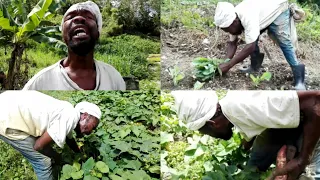 INSPIRATIONAL BLIND FARMER, MUSICIAN WITH AMAZING VOICE | 37 YRS FARMING & NAVIGATING ON HIS FARM