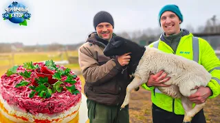 Живём в доме в лесу и разводим животных. Дорперы заменят всех овец в нашем хозяйстве.