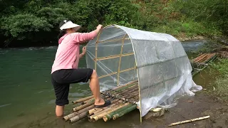 building bamboo survival shelter! Solo bushcraf - LIVING OFF GRID