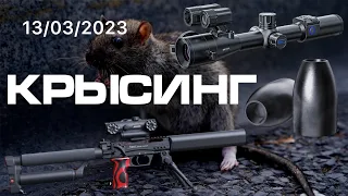 PARD DS35LRF,EDgun Leshiy2, Ночная охота на крыс,Night hunting in rats!