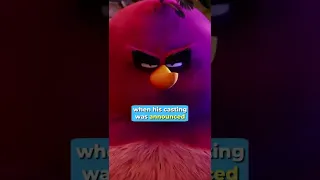 Did you know that in The Angry Birds Movie