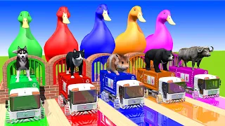 5 Giant Duck, Monkey, Piglet, Bear, Buffalo, Hamter, Cow, Sheep, Transfiguration funny animal 2023