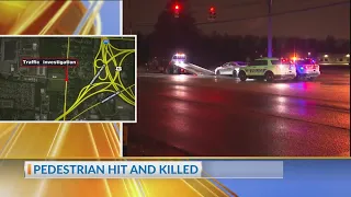 Pedestrian hit and killed