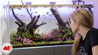 Aquascaping - Oase Scaperline 100