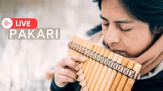 Pakari(Yupanki) - Amazing Native Music/ Quancho/ Zampoña