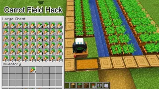 Crafting a Carrot field With Hack in minecraft. #minecraft