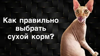 🥇Как выбрать сухой корм для кошки? Корм для канадского сфинкса