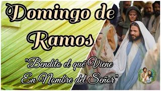 😇JESUS | Entrada triunfal en Jerusalén | Domingo de Ramos | Oracion | Bendicion de los Ramos 🌿🌿