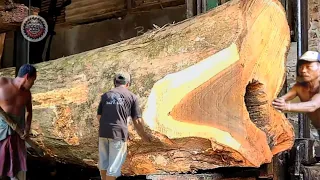 Amazing... Sawing teak wood soak the most dangerous and expensive at sawmill