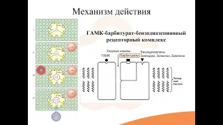 8.2. Снотворные средства. Производные барбитуровой кислоты (барбитураты)