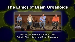 The Ethics of Brain Organoids with Alysson Muotri Christof Koch Patricia Churchland Evan Thompson