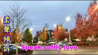 Speak Softly Love/Andy Williams(柔聲傾訴)經典好歌 電影「教父」的主題曲，電影配樂獲得奧斯卡金像獎，最佳配樂獎【中英字幕】